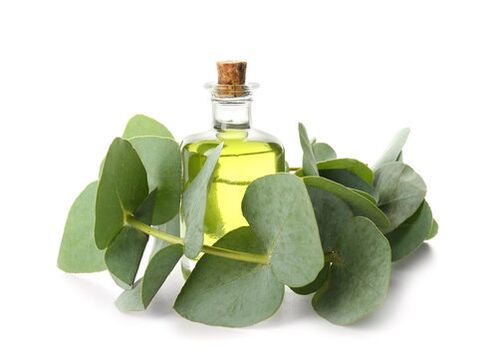 Eukalyptusöl als Teil der Demyxil -Creme